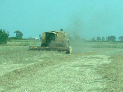 NEW HOLLAND TX-36